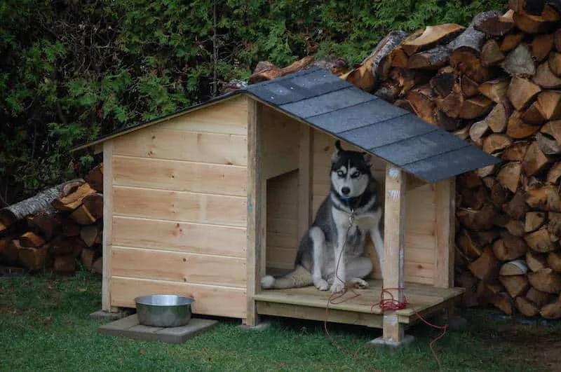Construire-une-niche-pour-chien-en-palette