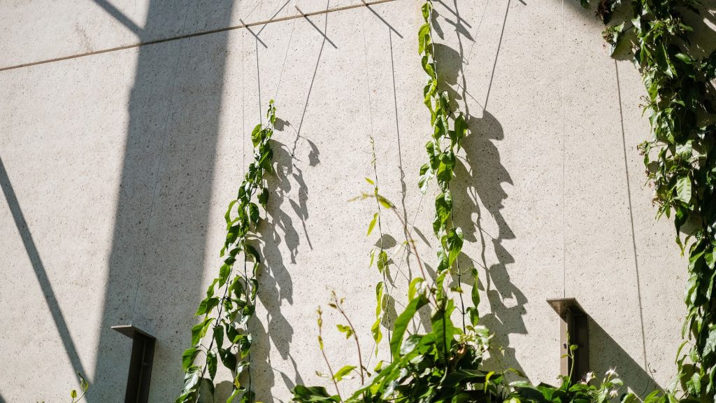 construction écologique