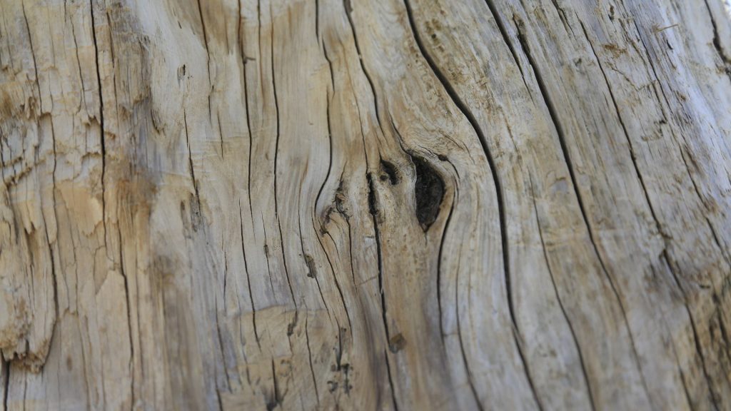 Comment intégrer le bois flotté dans son intérieur ?