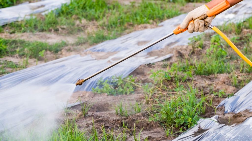 Comment fabriquer un désherbant puissant et naturel